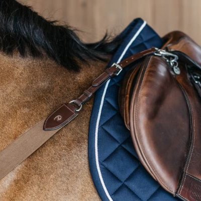 Dy'on New English Collection Elastic Breastplate - Image 4