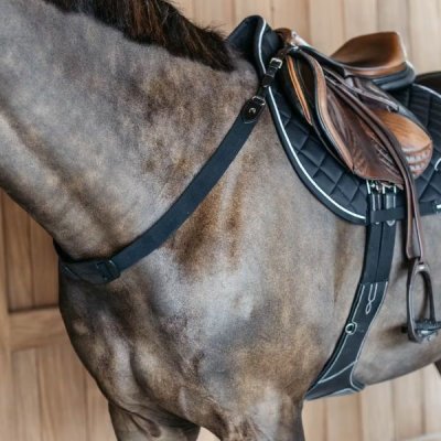 Dy'on New English Collection Elastic Breastplate - Image 3