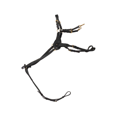 Dy'on D Collection 5 Points Breastplate With Elastic