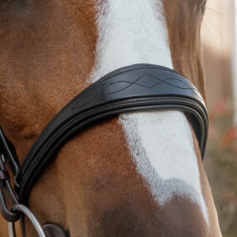Dy'on New English Collection Anatomic Noseband Without Flash - Image 3
