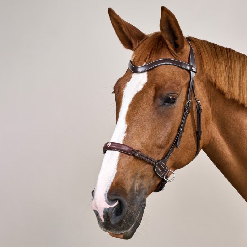 Dy'on Working Collection Bitless Bridle - Image 3