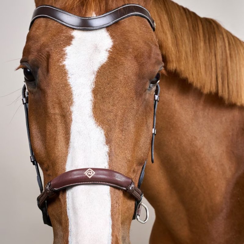 Dy'on Working Collection Bitless Bridle - Image 4