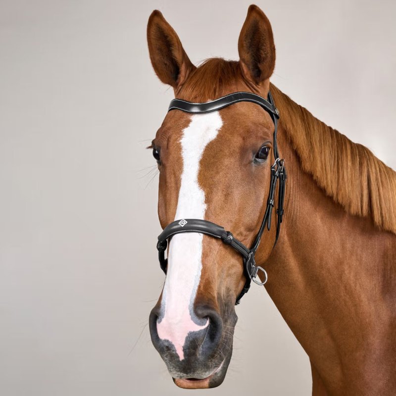 Dy'on Working Collection Bitless Bridle - Image 5