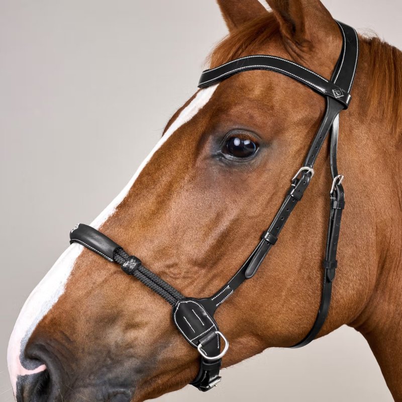 Dy'on Working Collection Bitless Bridle - Image 6