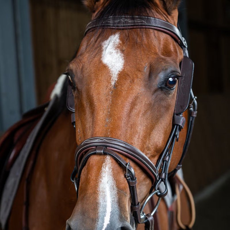Dy'on Working Collection Blinkers - Image 3