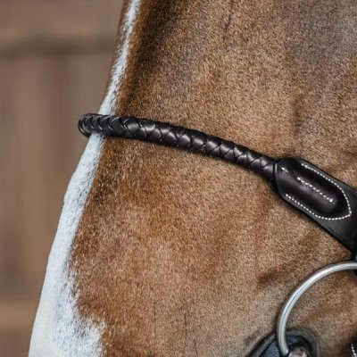 Dy'on D Collection Braided Flash Noseband