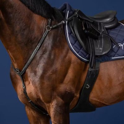 Dy'on US Jumping Collection Bridge Breastplate