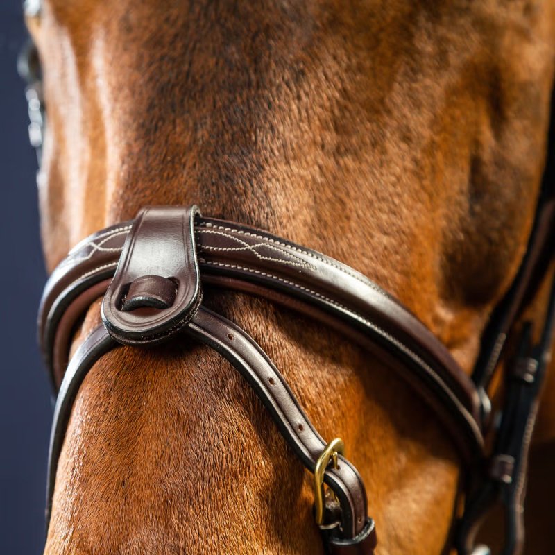 Dy'on D Collection Flash Nose Strap 1/2" With 2 Removable Attachments - Image 3