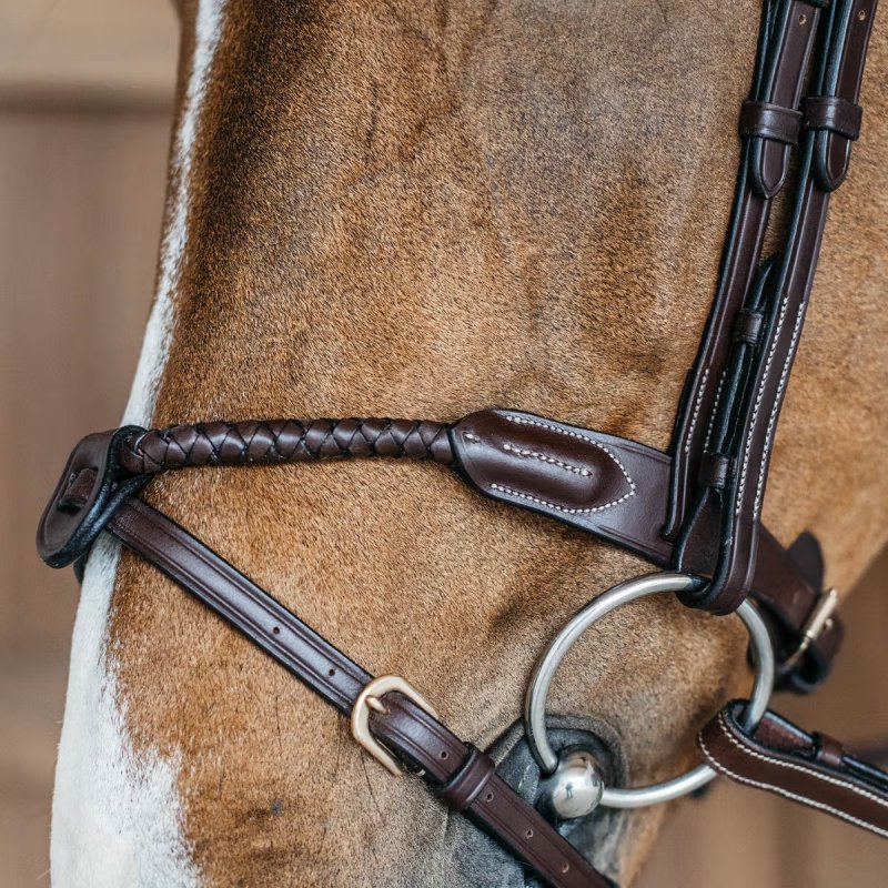 Dy'on D Collection Braided Flash Noseband - Image 2