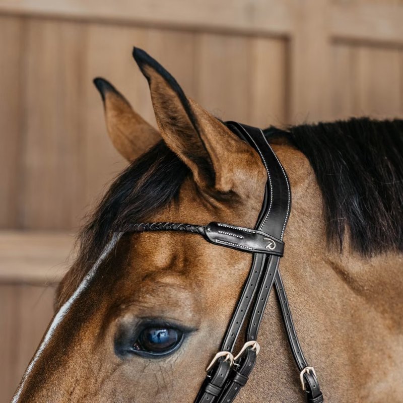 Dy'on D Collection Braided Browband - Image 3