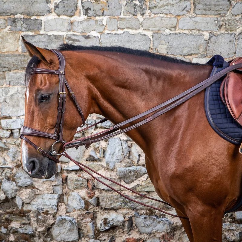 Dy'on D Collection Leather/Nylon Draw Reins 5/8" - Image 2