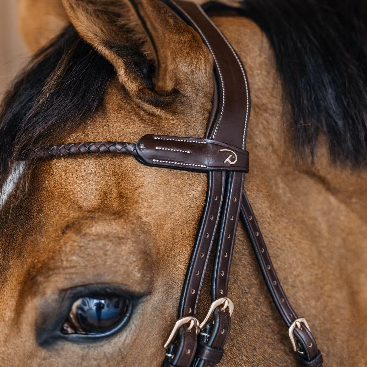 Dy'on D Collection Braided Browband