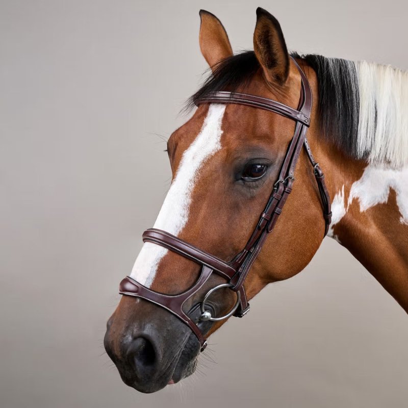 Dy'on US Collection Double Noseband Bridle - Image 3