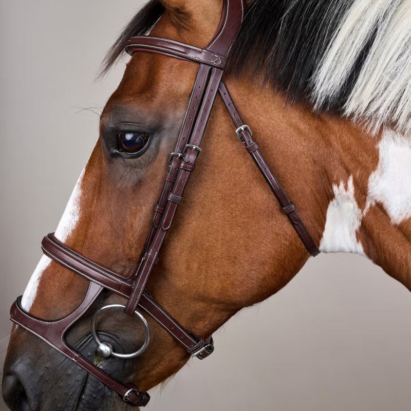 Dy'on US Collection Double Noseband Bridle - Image 4