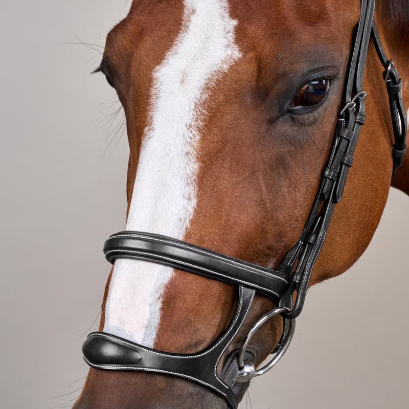 Dy'on US Collection Double Noseband Bridle - Image 5