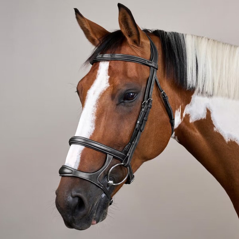 Dy'on US Collection Double Noseband Bridle - Image 6