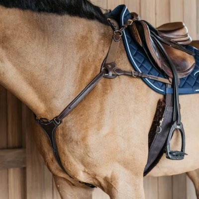 Dy'on D Collection 5 Points Breastplate with Elastic - Image 3