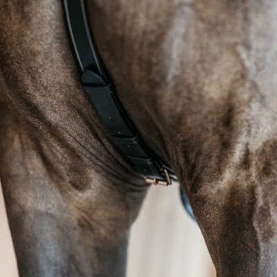 Dy'on D Collection 5 Points Breastplate with Elastic - Image 4