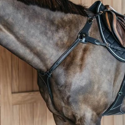Dy'on D Collection 5 Points Breastplate with Elastic - Image 7