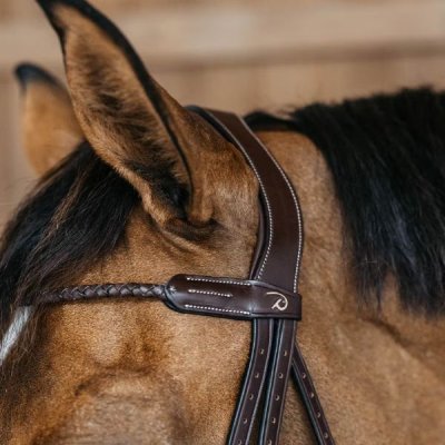 Dy'on D Collection Braided Browband - Image 3