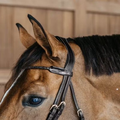 Dy'on D Collection Braided Browband - Image 2