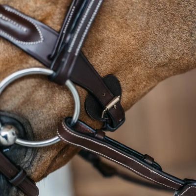 Dy'on D Collection Braided Flash Noseband Bridle - Image 2