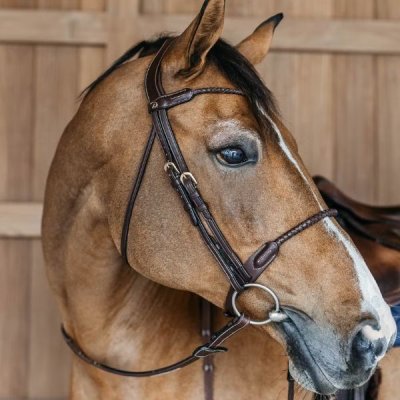 Dy'on D Collection Braided Flash Noseband Bridle - Image 5