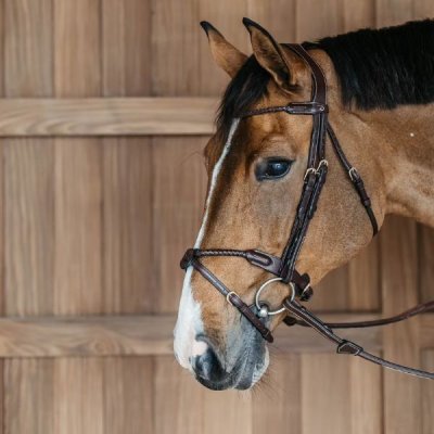 Dy'on D Collection Braided Flash Noseband Bridle - Image 6