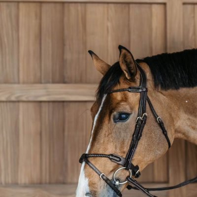 Dy'on D Collection Braided Flash Noseband Bridle - Image 9