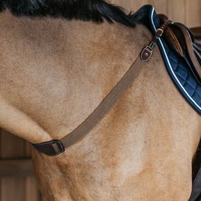 Dy'on D Collection Elastic Breastplate - Image 5