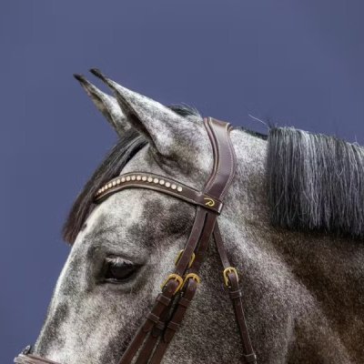 Dy'on D Collection Flash Noseband Double Bridle - Image 4