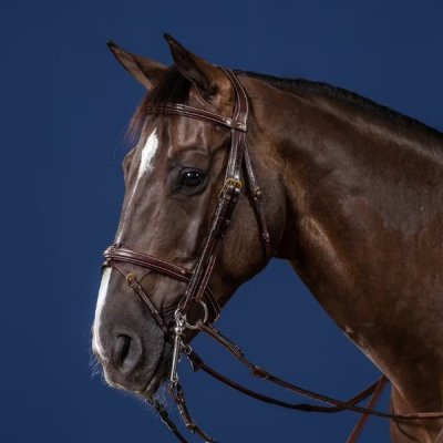 Dy'on D Collection Flash Noseband Double Bridle - Image 2
