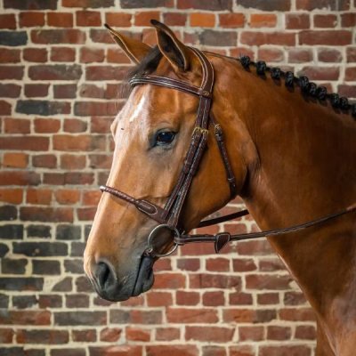 Dy'on D Collection Leather Covered Rope Noseband Bridle - Image 2