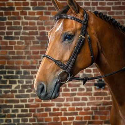 Dy'on D Collection Leather Covered Rope Noseband Bridle - Image 3