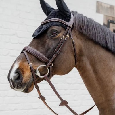 Dy'on D Collection Plaited Flash Noseband Bridle with Pull back - Image 2