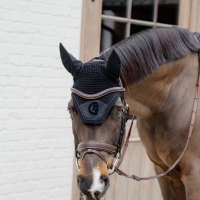 Dy'on D Collection Plaited Flash Noseband Bridle with Pull back - Image 4