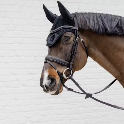 Dy'on D Collection Plaited Flash Noseband Bridle with Pull back - Image 5