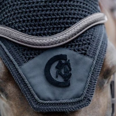 Dy'on D Collection Plaited Flash Noseband Bridle with Pull back - Image 6