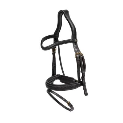 Dy'on D Collection Plaited Flash Noseband Bridle with Pull back - Image 7