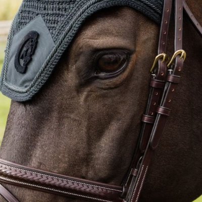 Dy'on D Collection Plaited Noseband - Image 4