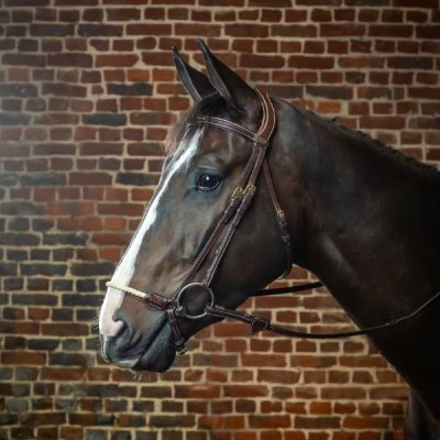 Dy'on D Collection Rope Drop Noseband Bridle - Image 2