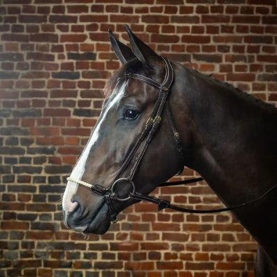 Dy'on D Collection Rope Drop Noseband Bridle - Image 3