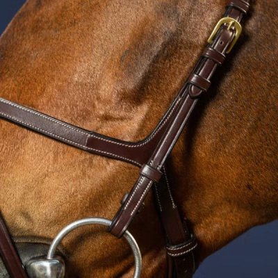 Dy'on D Collection X-Fit Bridle - Image 2
