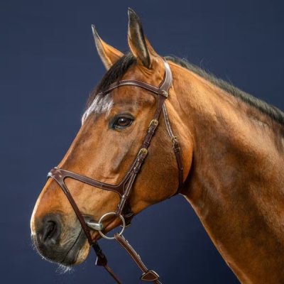Dy'on D Collection X-Fit Bridle - Image 3