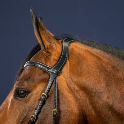 Dy'on D Collection X-Fit Bridle - Image 5