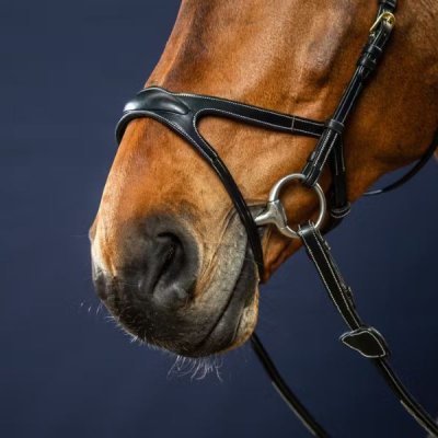 Dy'on D Collection X-Fit Bridle - Image 6
