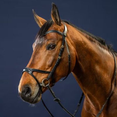 Dy'on D Collection X-Fit Bridle - Image 7