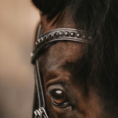 Dy'on Dressage Collection Flat Leather Black Swarovski V-Shaped Browband - Image 3