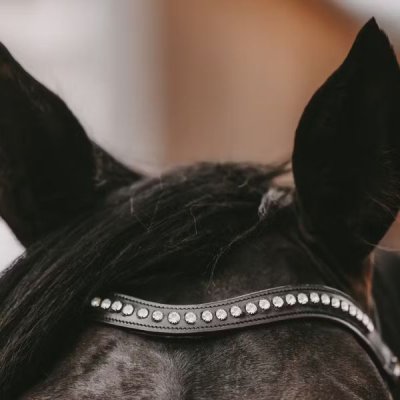 Dy'on Dressage Collection Flat Leather White Swarovski V-Shaped Browband - Image 3