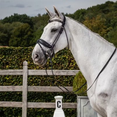 Dy'on Dressage Collection Round Leather Matte Large Crank Noseband Bridle With Flash - Image 2